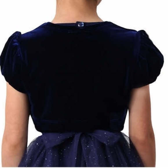 Jona Michelle Girls Dress Size 2T - Picture 8 of 10